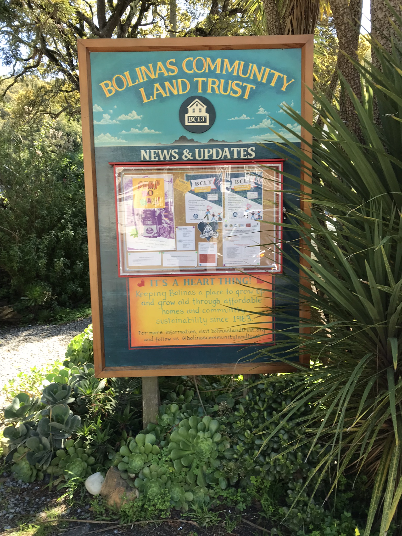The Bolinas Community Land Trust's news and updates board surrounded by plants.
