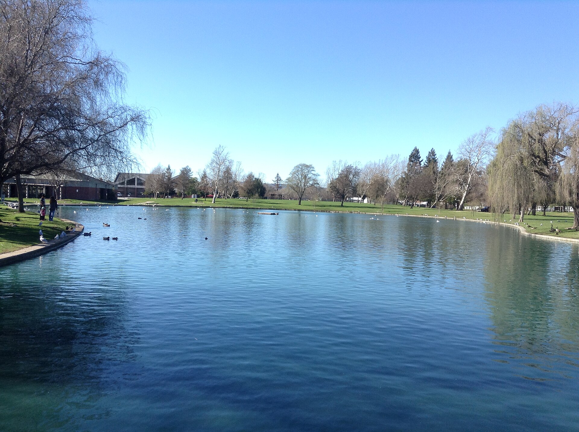Lake by the Fairfield Library