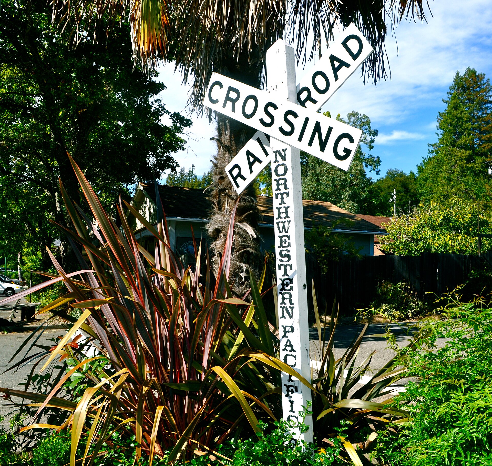 A vintage Northwestern Pacific railroad crossing sign surrounded by redwood trees in Occidental.