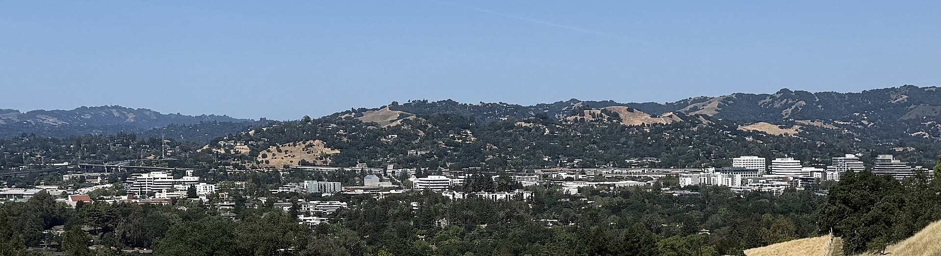 A panoramic view of Walnut Creek from Shell Ridge Open Space, with the city spread below rolling hills.