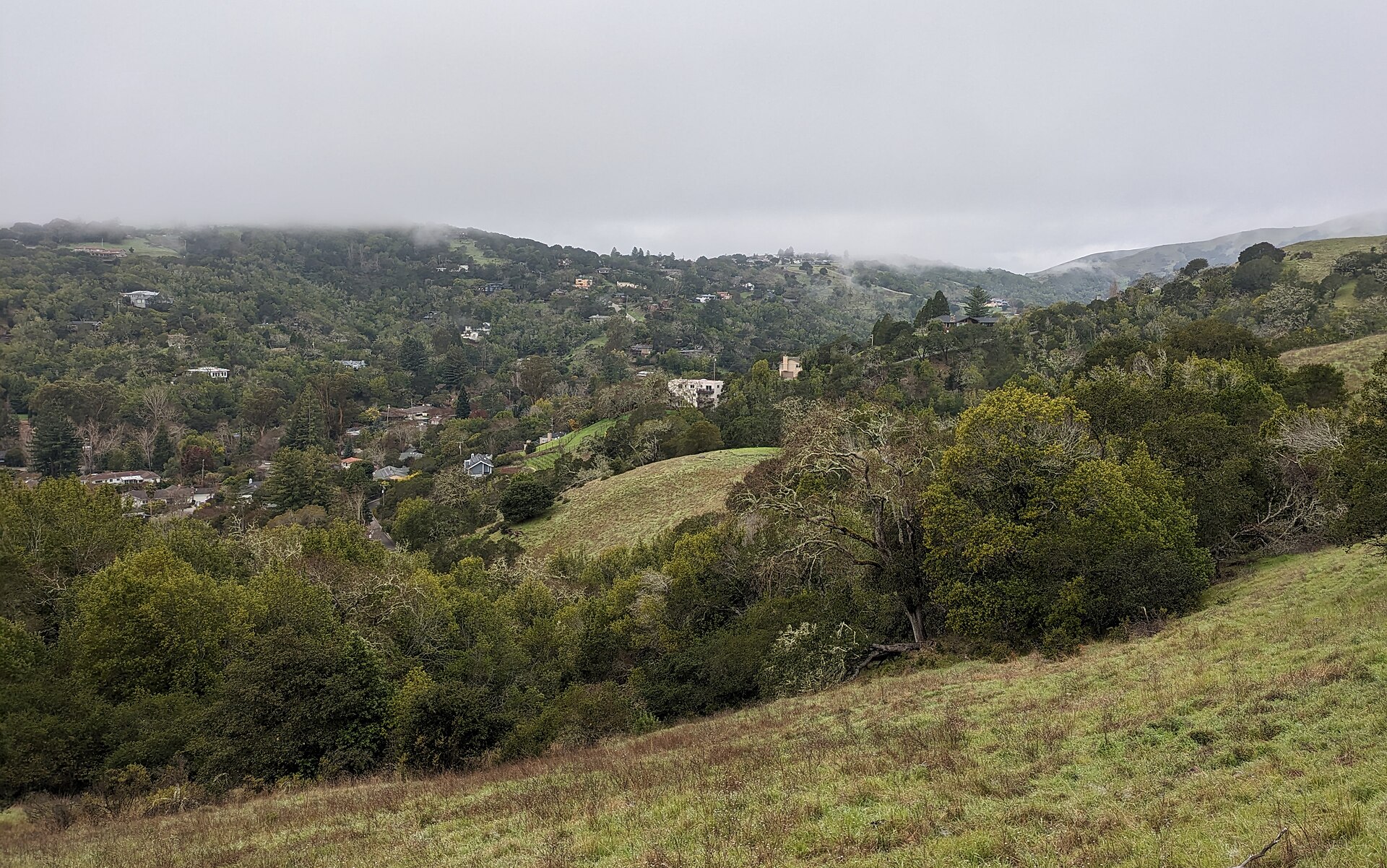 Homes tucked into wooded hillsides in Sleepy Hollow under a cloudy sky.