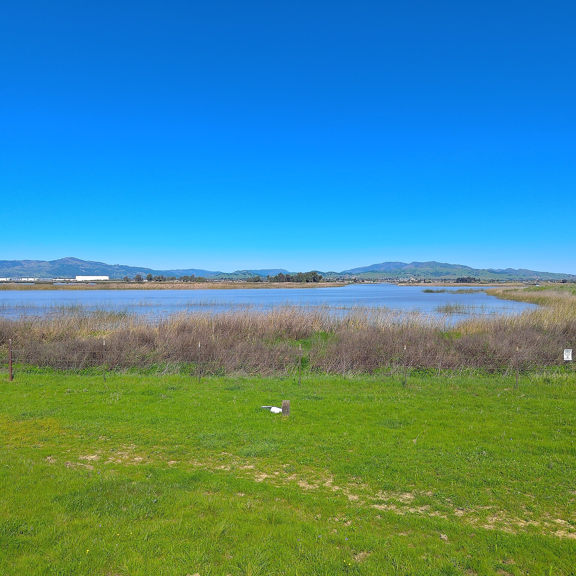 The Suisun Slough wetlands looking toward Suisun City, California