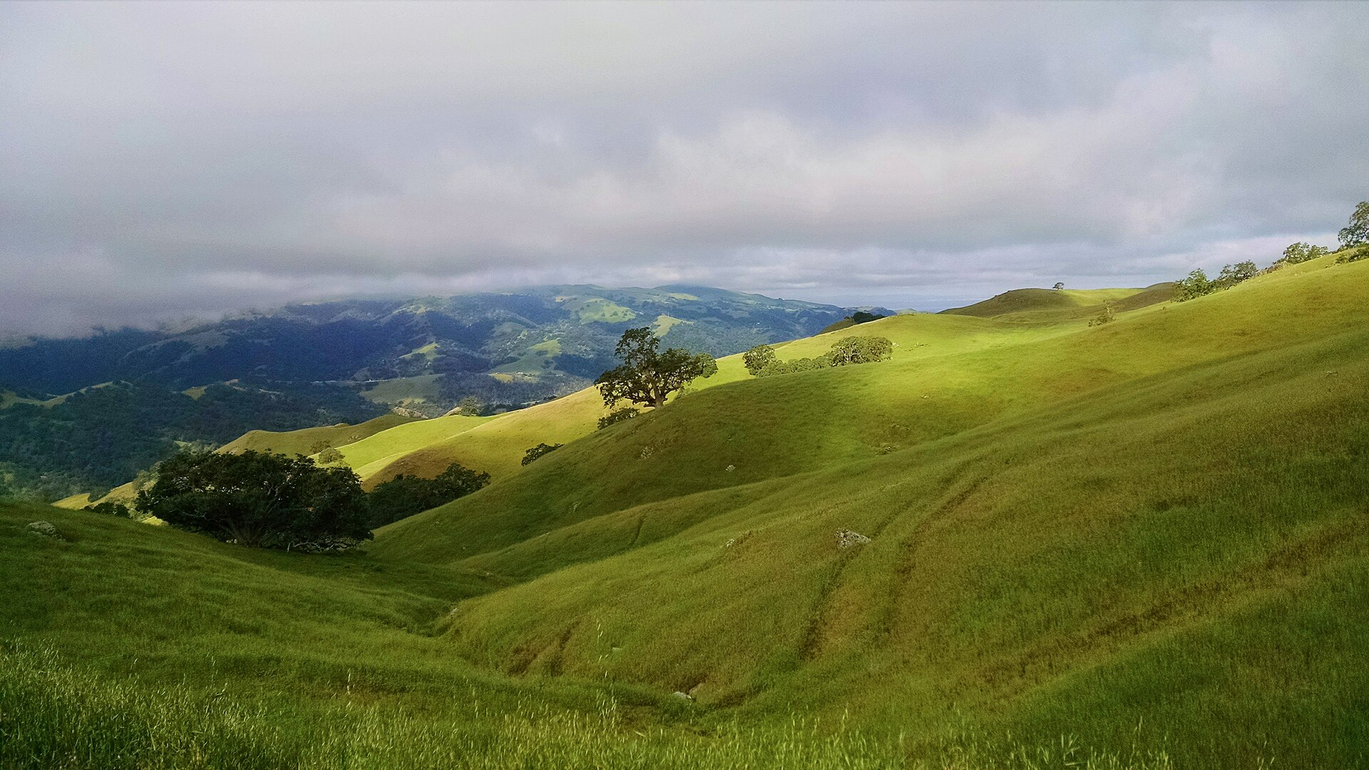 Green rolling hills of the Ohlone Wilderness near Sunol under a partly cloudy sky.