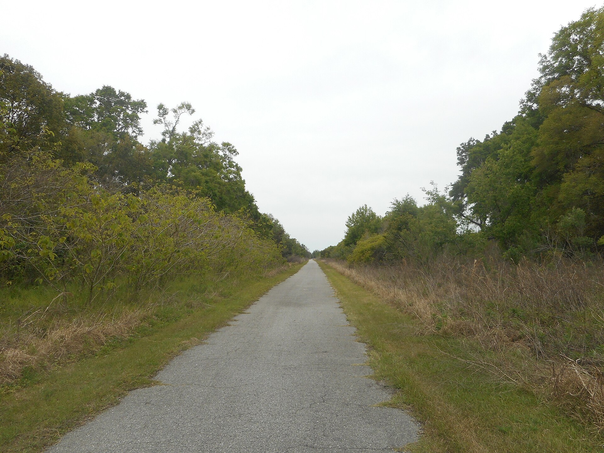 Paved rail trail receding into the distance at the Trilby Trailhead
