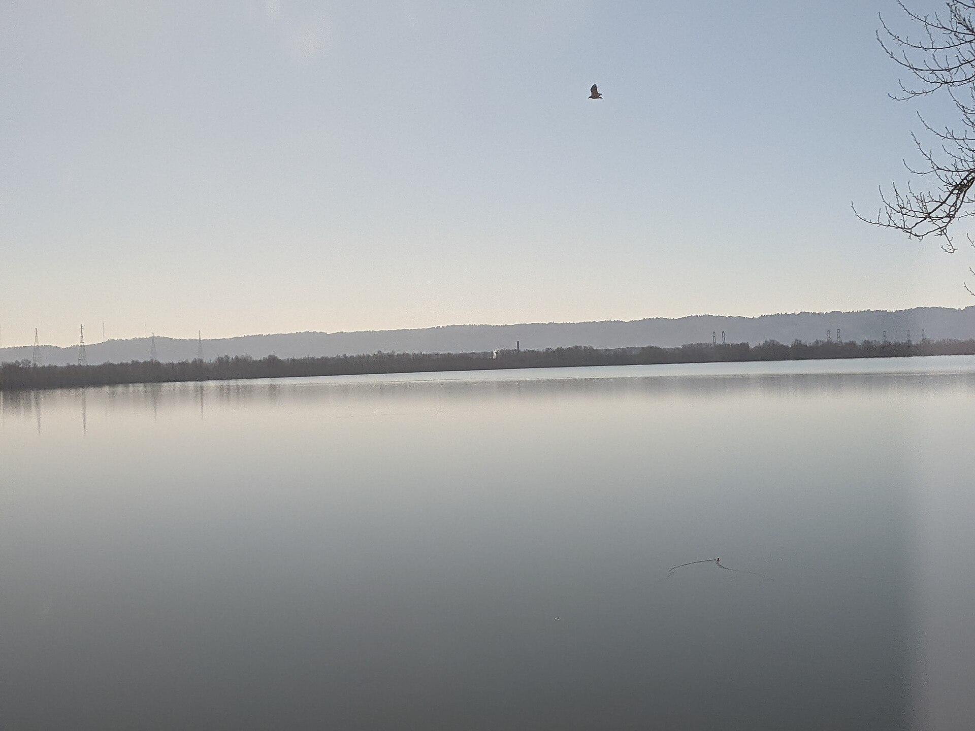 Vancouver Lake Washington