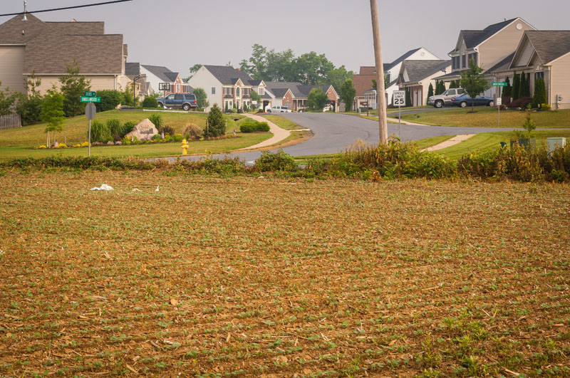 Farmland and housing in Adamstown Maryland