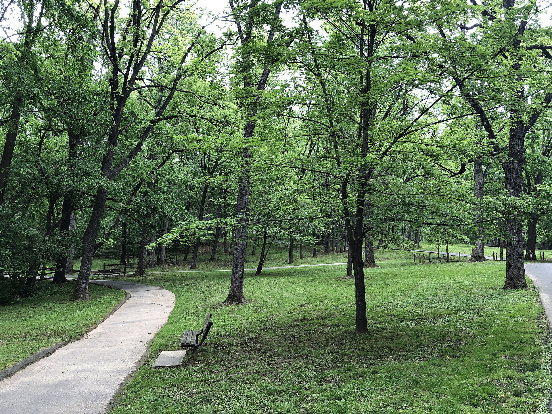 A paved path winding through the woods of Cabin John Regional Park.