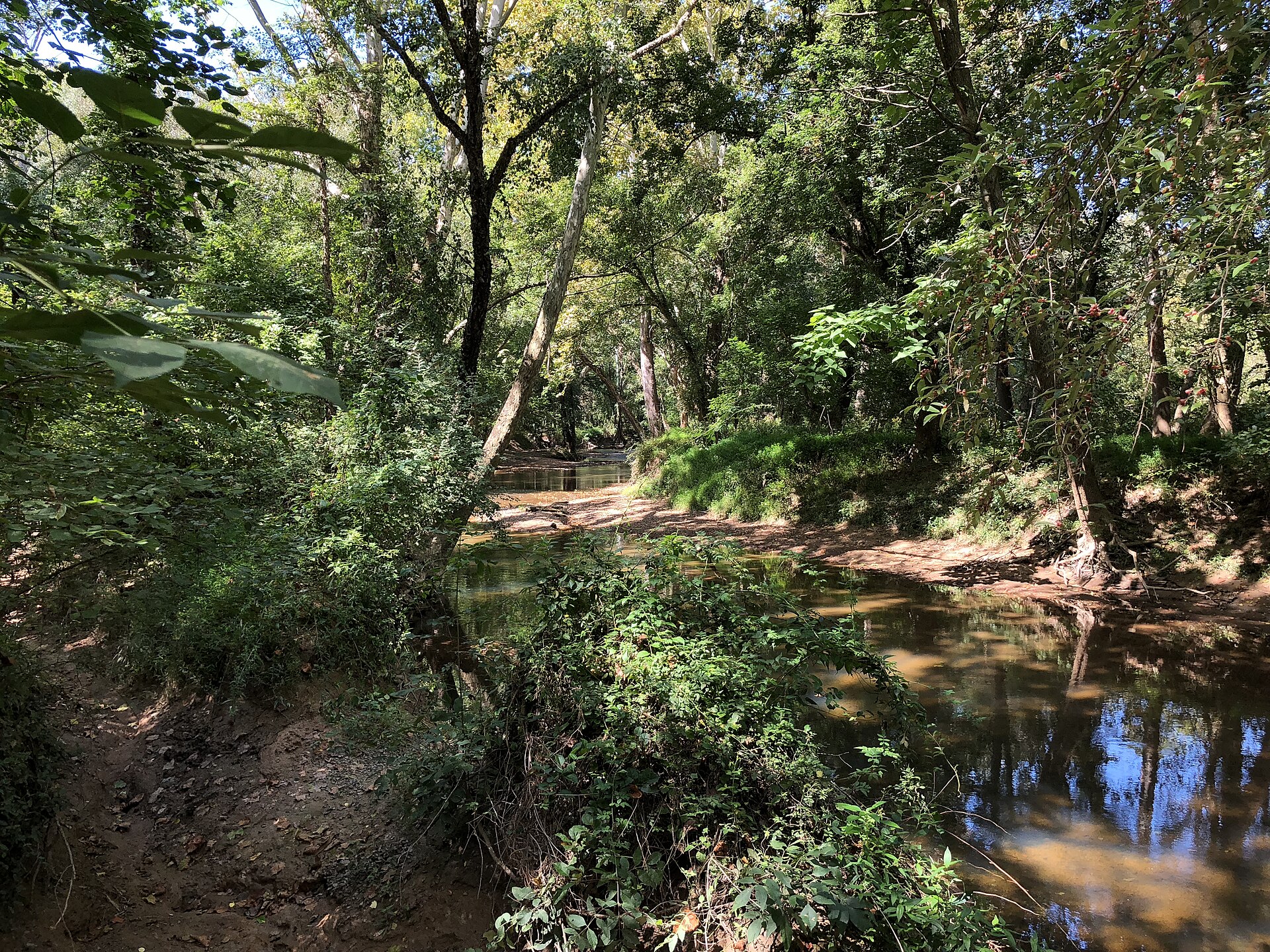 Difficult Run stream flowing through the woods over stepping stones.