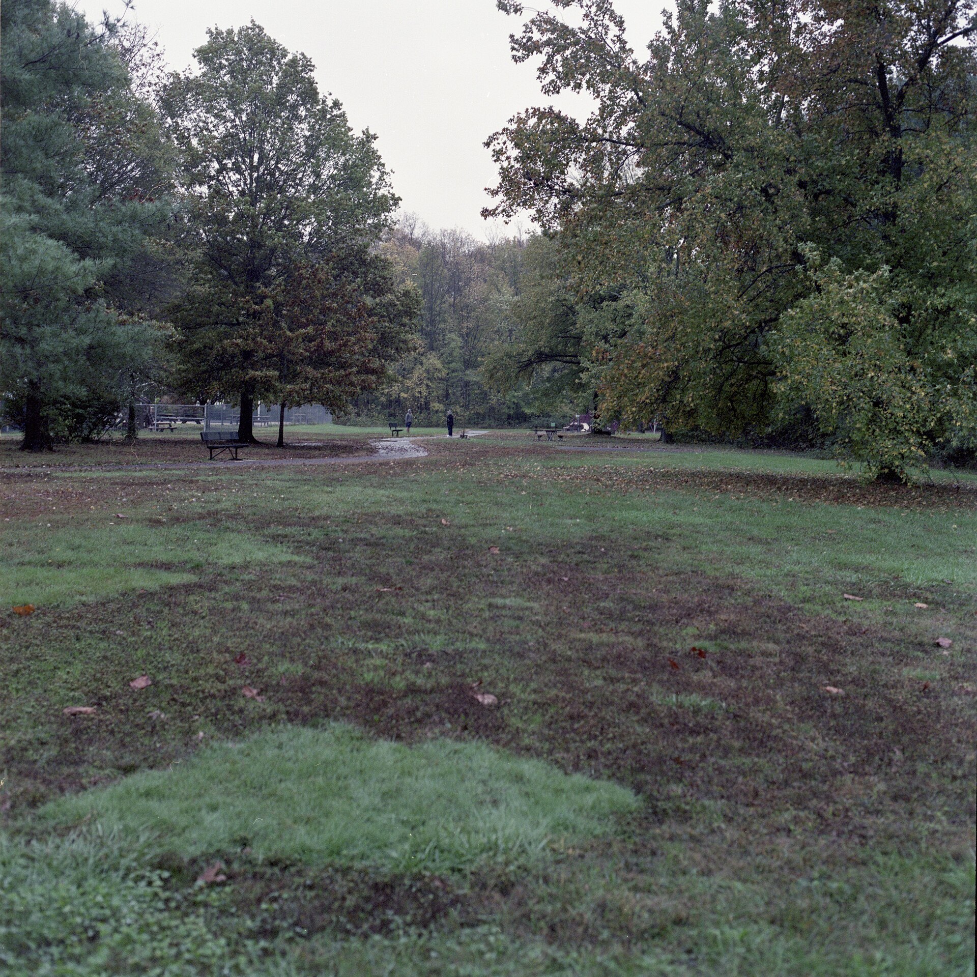 Greenbriar Commons Park on a rainy day