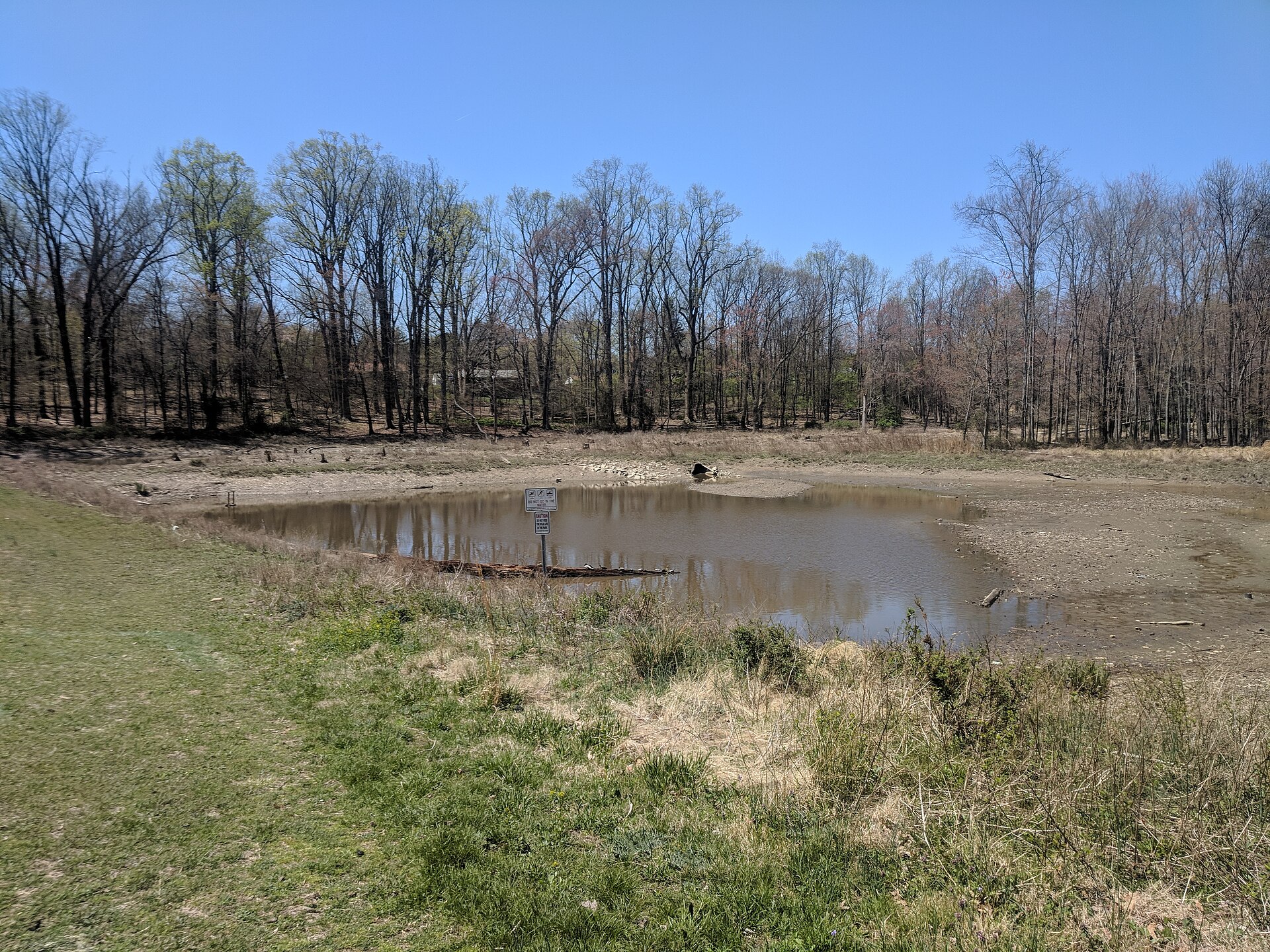 Sligo Creek flowing through woodland in Kemp Mill