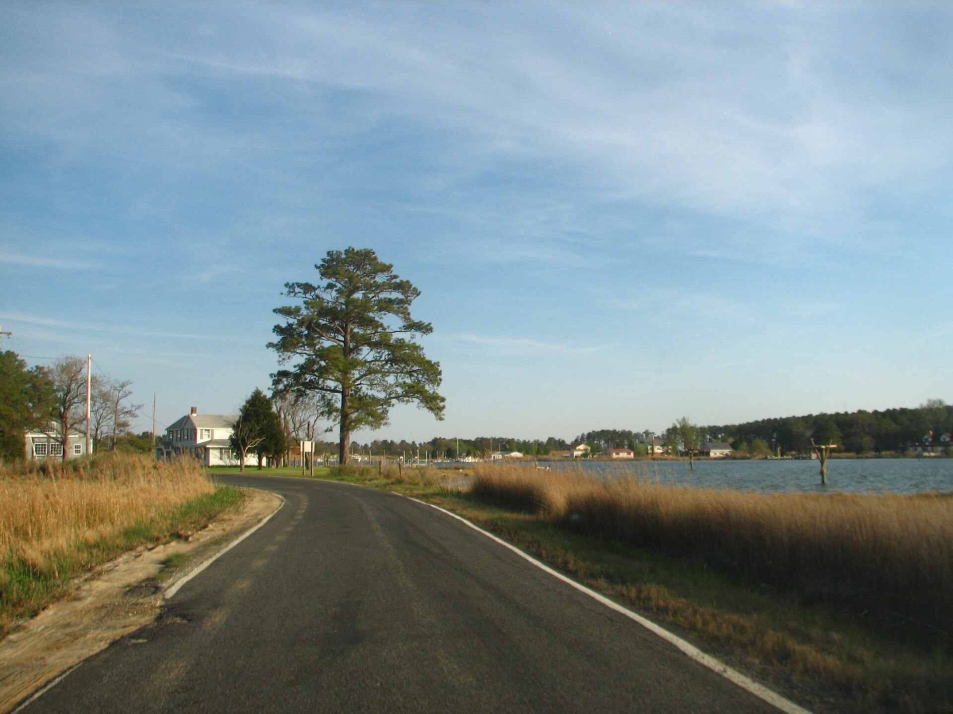 A road along the water on St. George Island