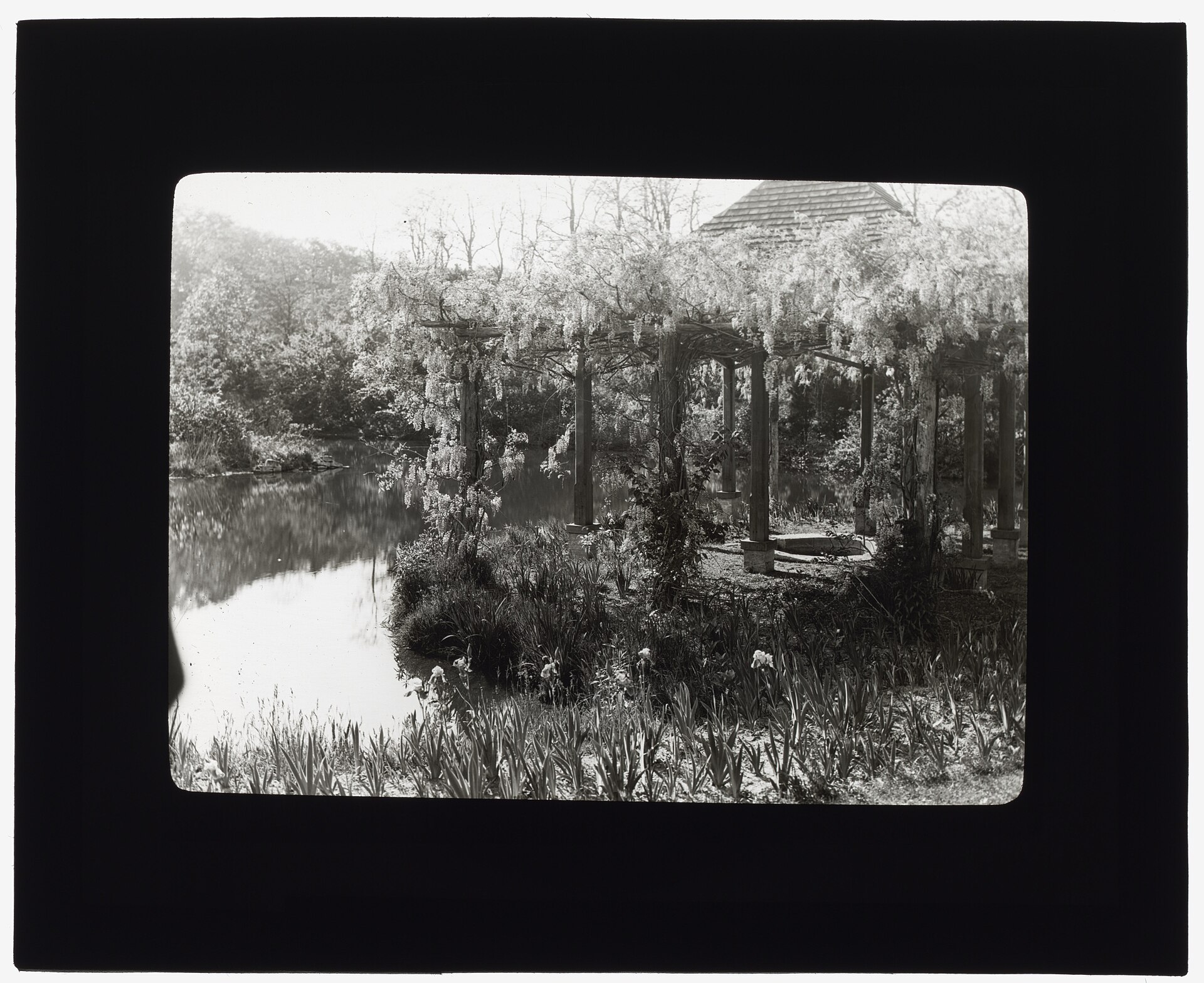 Another historic photograph of the gardens and grounds at Laurelton Hall in Cold Spring Harbor.