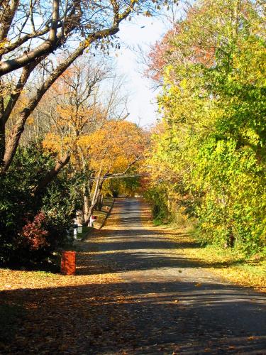 Residential street in Commack, New York in autumn