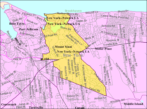 Mount-sinai-map