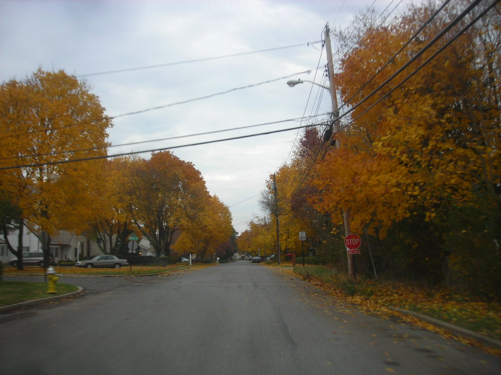 A residential street in Nesconset in autumn