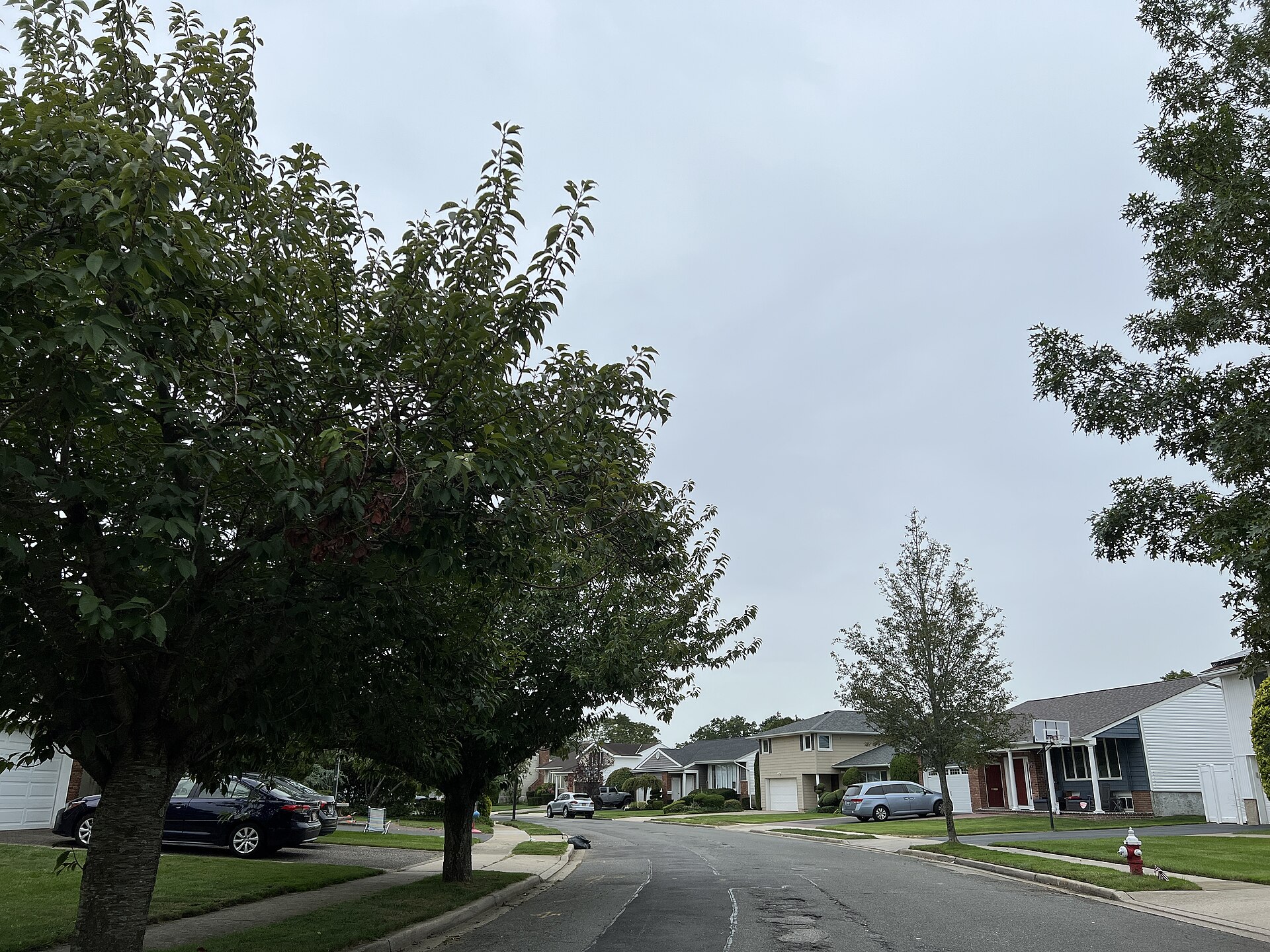 A quiet tree-lined suburban street with single-family homes.