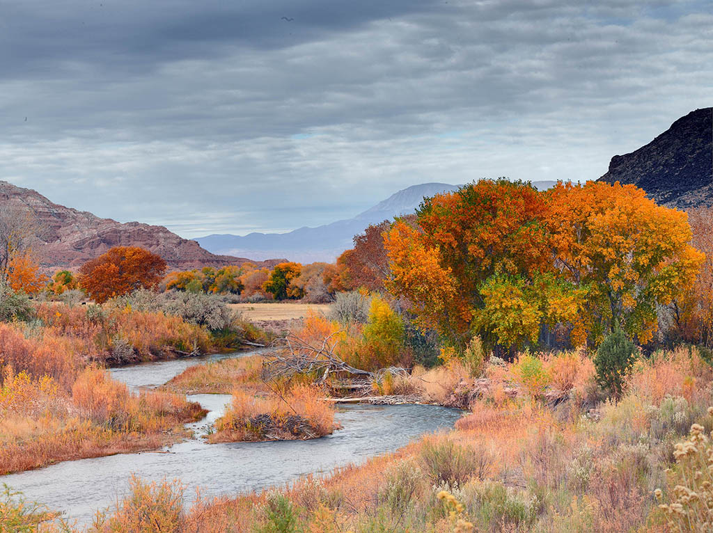 The Virgin River in autumn with red-rock cliffs near Virgin, Utah