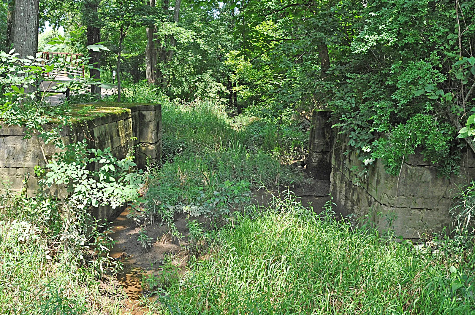 Guard locks are relatively rare on the canal but one remains near Clinton; this is a picture of one of the rare guard locks which now is in ruins.