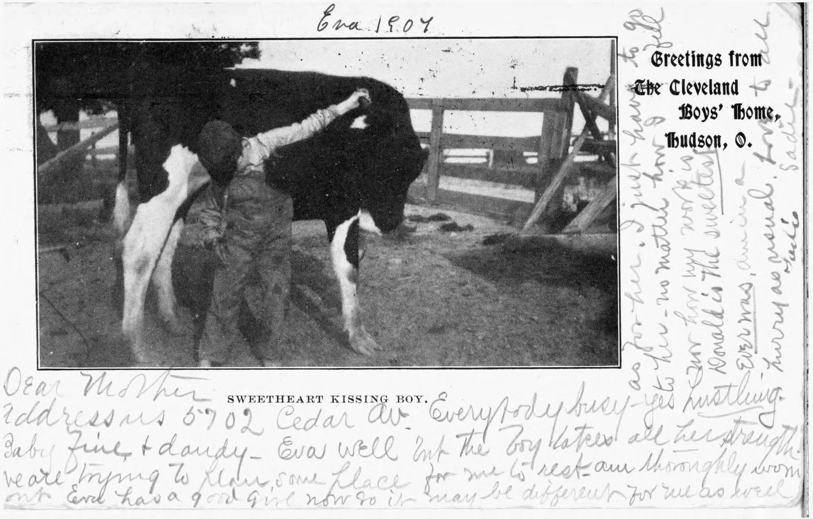 The view of a boy and a cow on the grounds of the Cleveland Boys' Home, a home for delinquent youth, in Hudson, Ohio. (