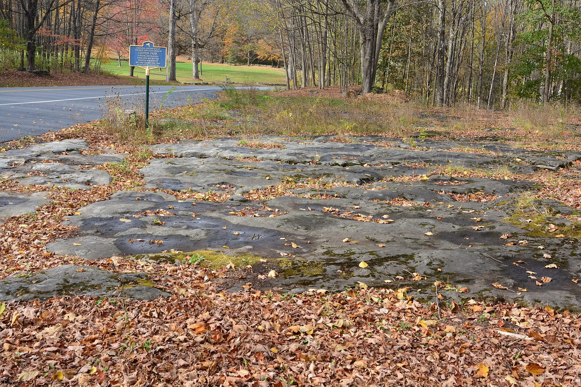 Lester Park in Greenfield Center, an outdoor exhibit of the New York State Museum featuring 490-million-year-old stromatolite fossils