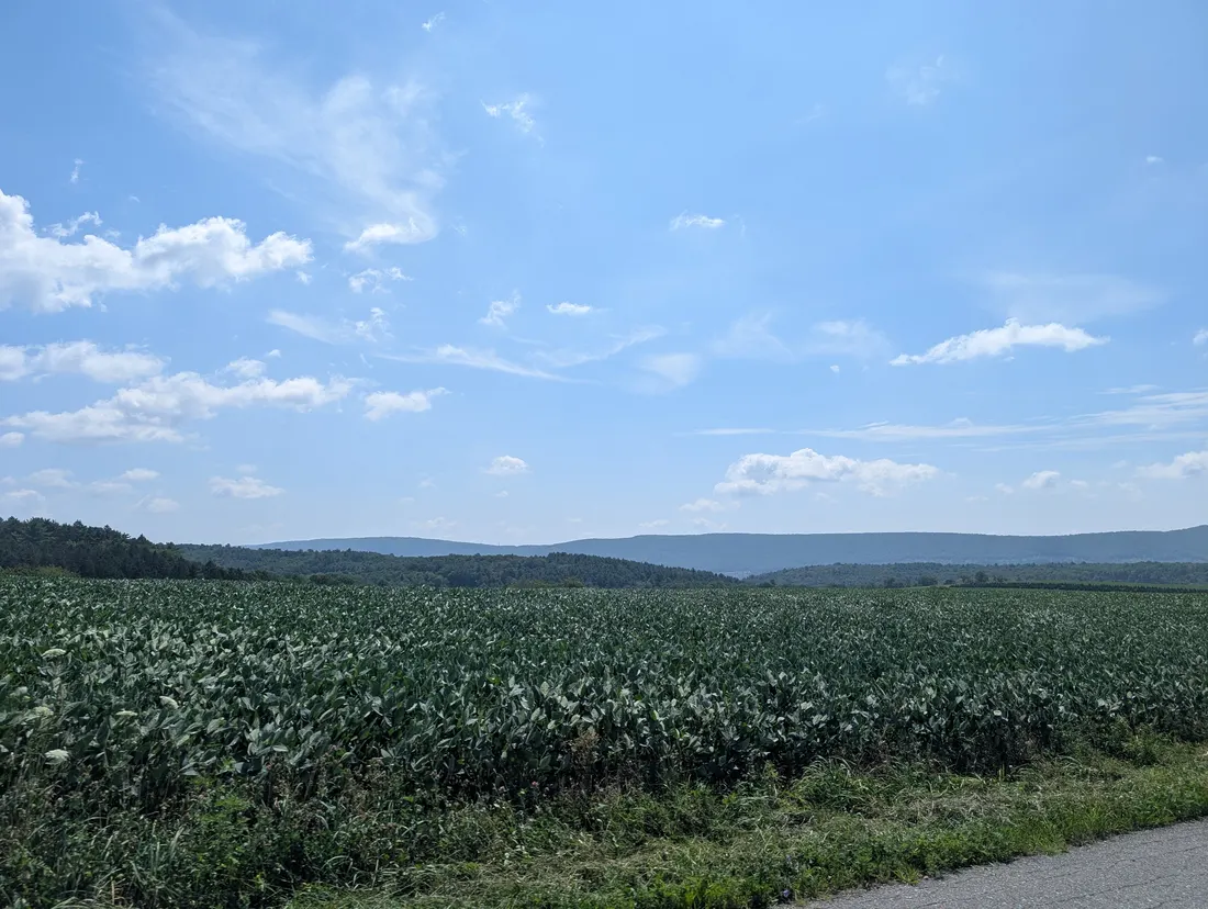 Photo of farmland and rolling hills off Gilberts Hill Road in East Penn Township, Carbon County, Pennsylvania. Photo taken looking east-southeast near the borde