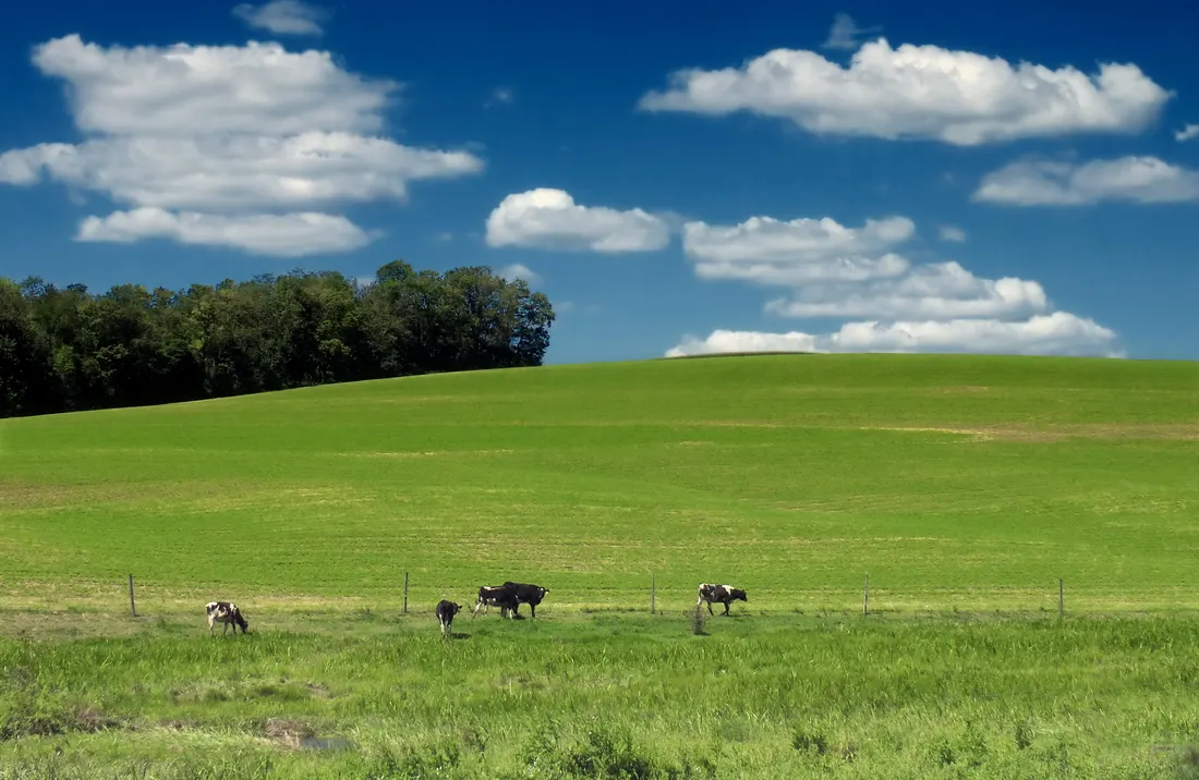 Lower Macungie Township, Lehigh County.