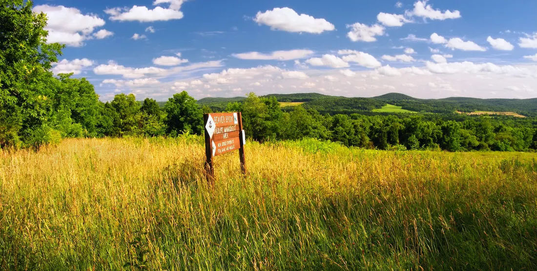 Beaver Brook Wildlife Management Area, White Township, Warren County.