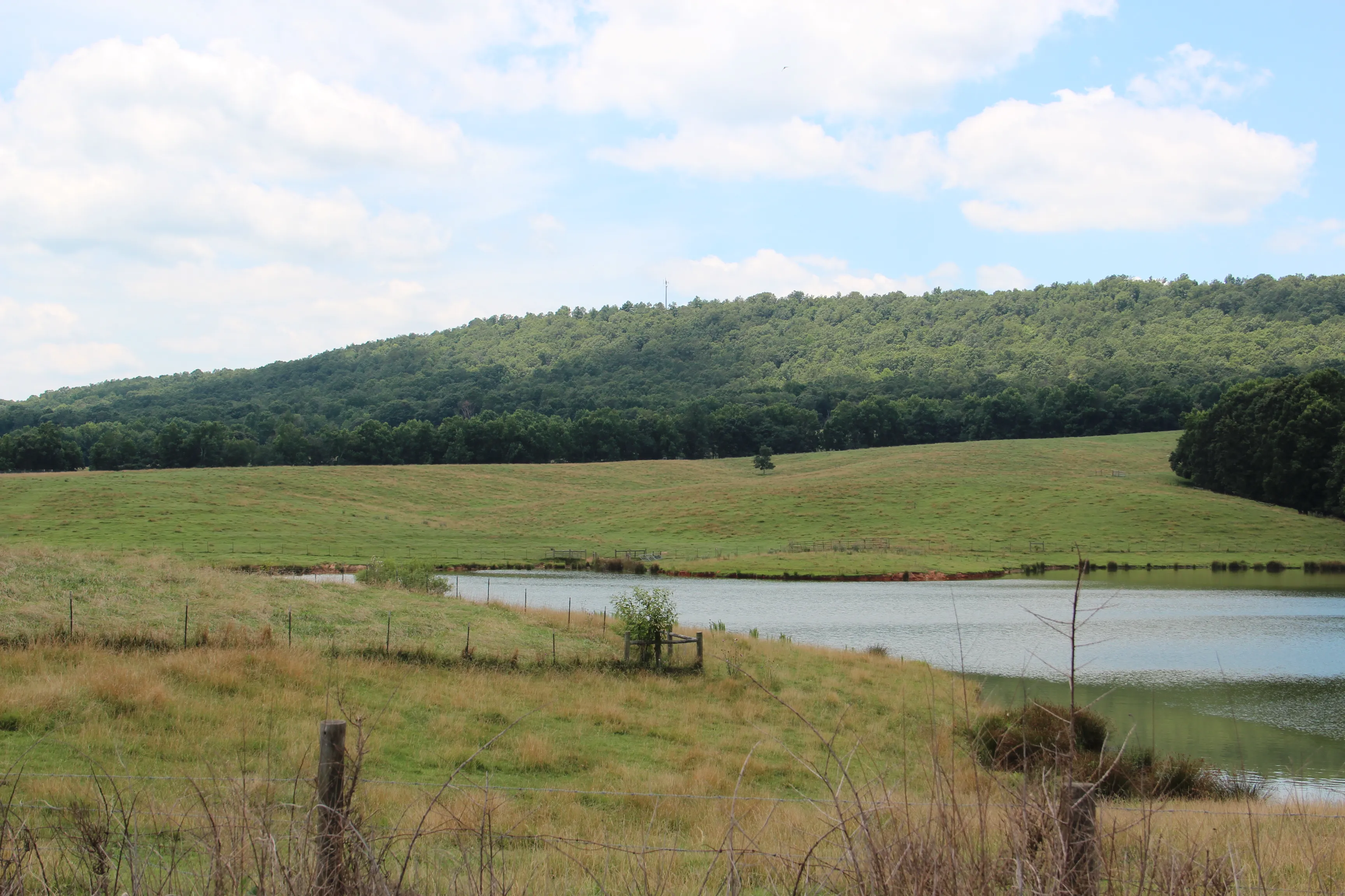 Carroll County, Georgia