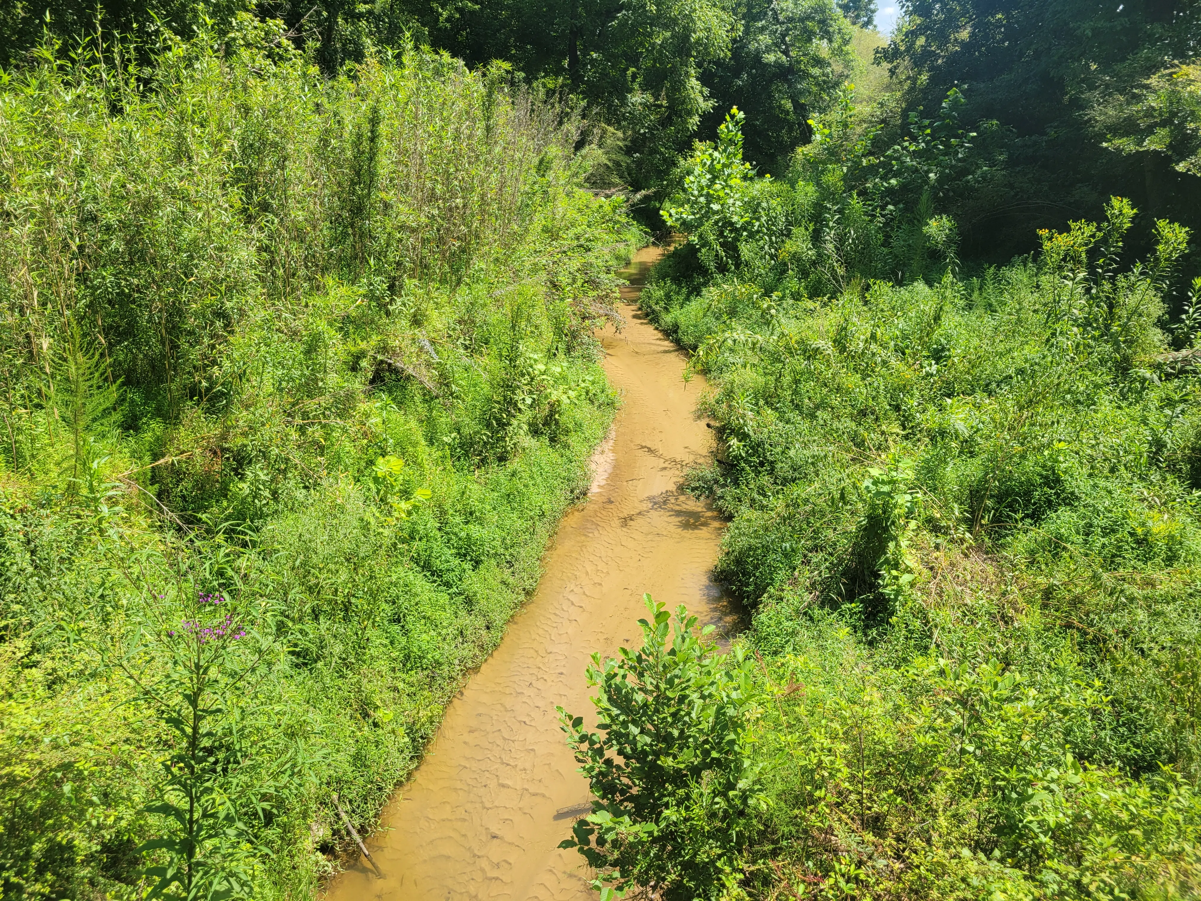 Cauley Creek, Johns Creek Georgia