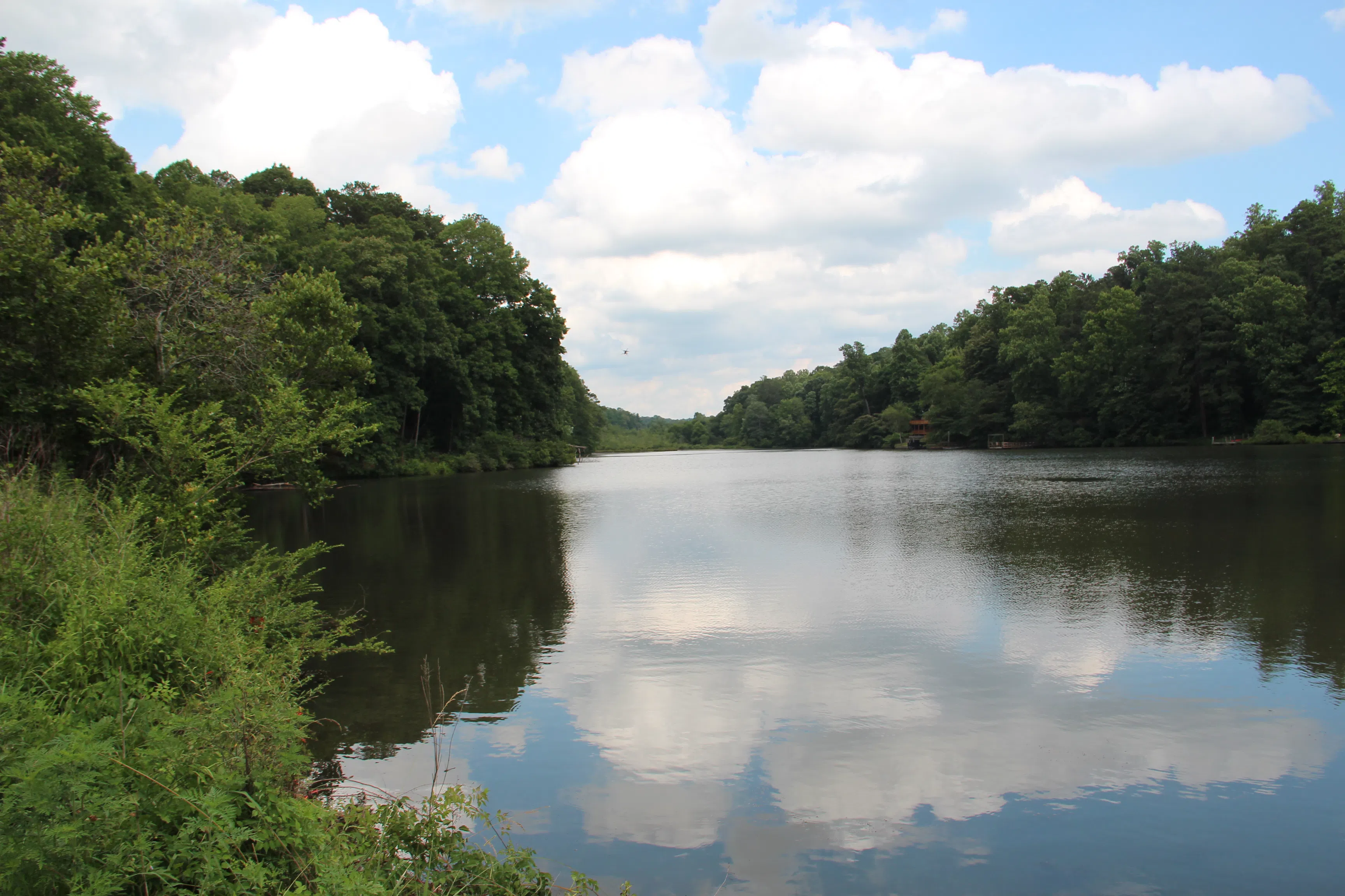 Garrett Lake in Mountain Park