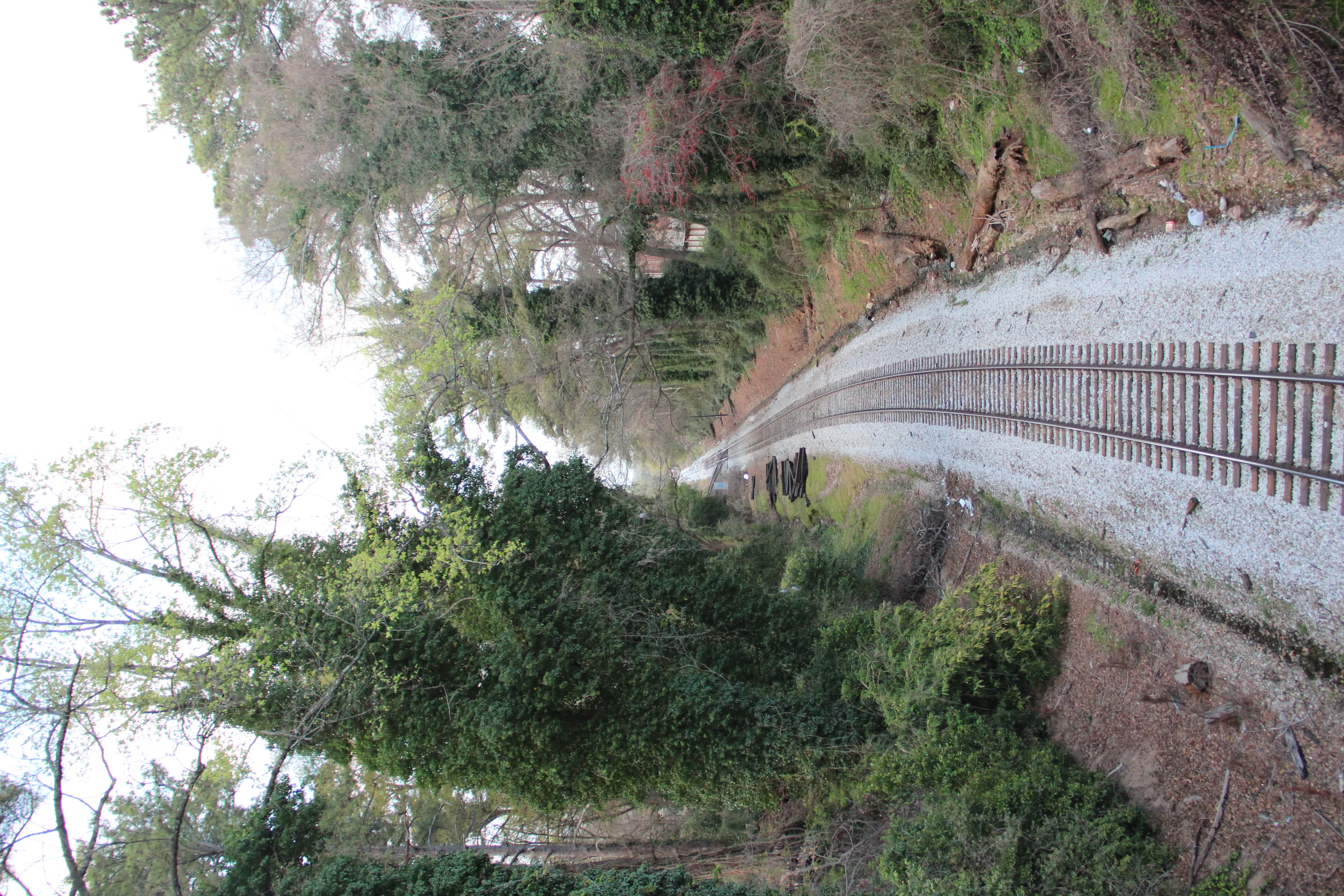 Railroad tracks near North Decatur CDP, March 2017
