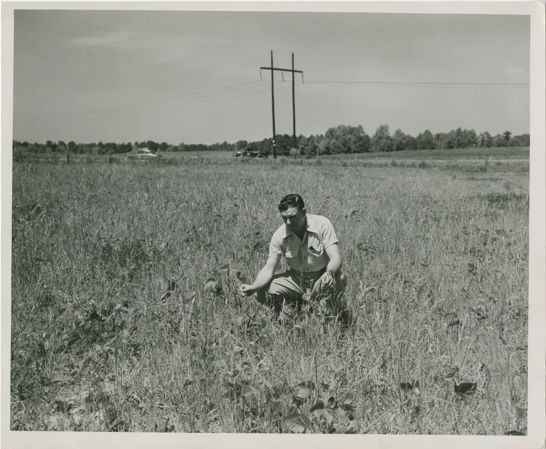 Six men standing in a field. Photograph taken for the USDA Soil Conservation Service, now known as the Natural Resources Conservation Service. Funding for this project provided by Georgia HomePLACE, a unit of the Georgia