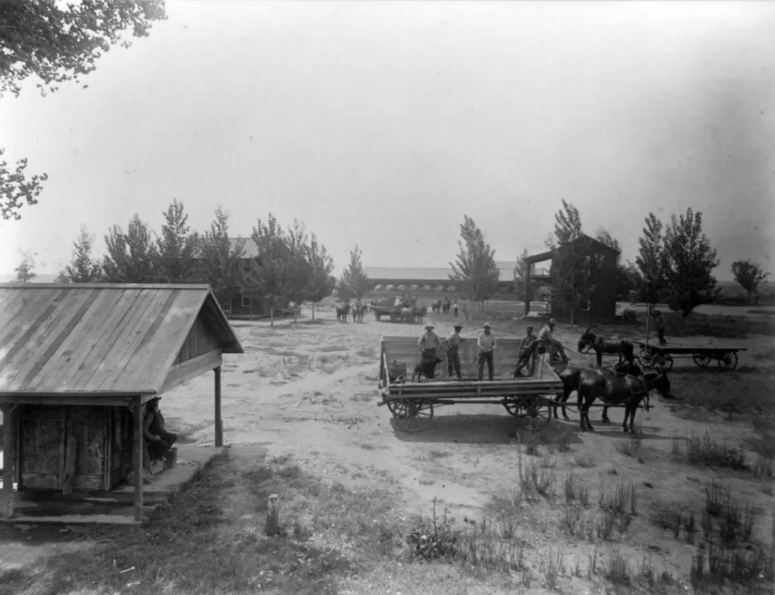 Large hay wagon at Camp 36, Greenfields Ranch, in Kern County, California.