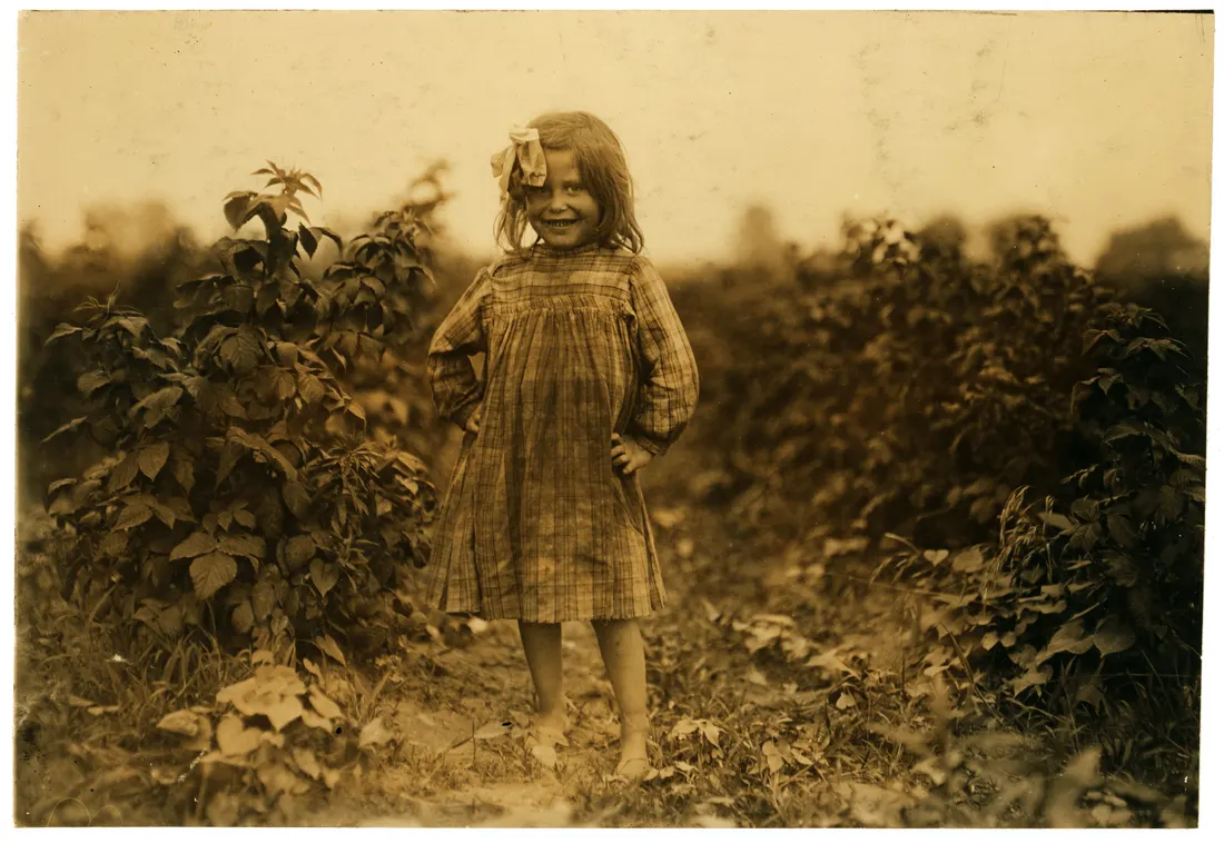 Laura Petty, a 6 year old berry picker on Jenkins farm, Rock Creek near Baltimore, Md. "I'm just beginnin'. Picked two boxes yesterday. (2 cents a box). Location: Baltimore, Maryland. Photograph by Lewis Wickes Hine, 8 J