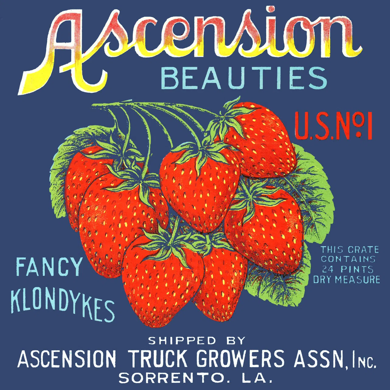 "Ascension Beauties" strawberry crate label, printed in New Orleans circa 1920 — a nod to Ascension Parish's strawberry heritage