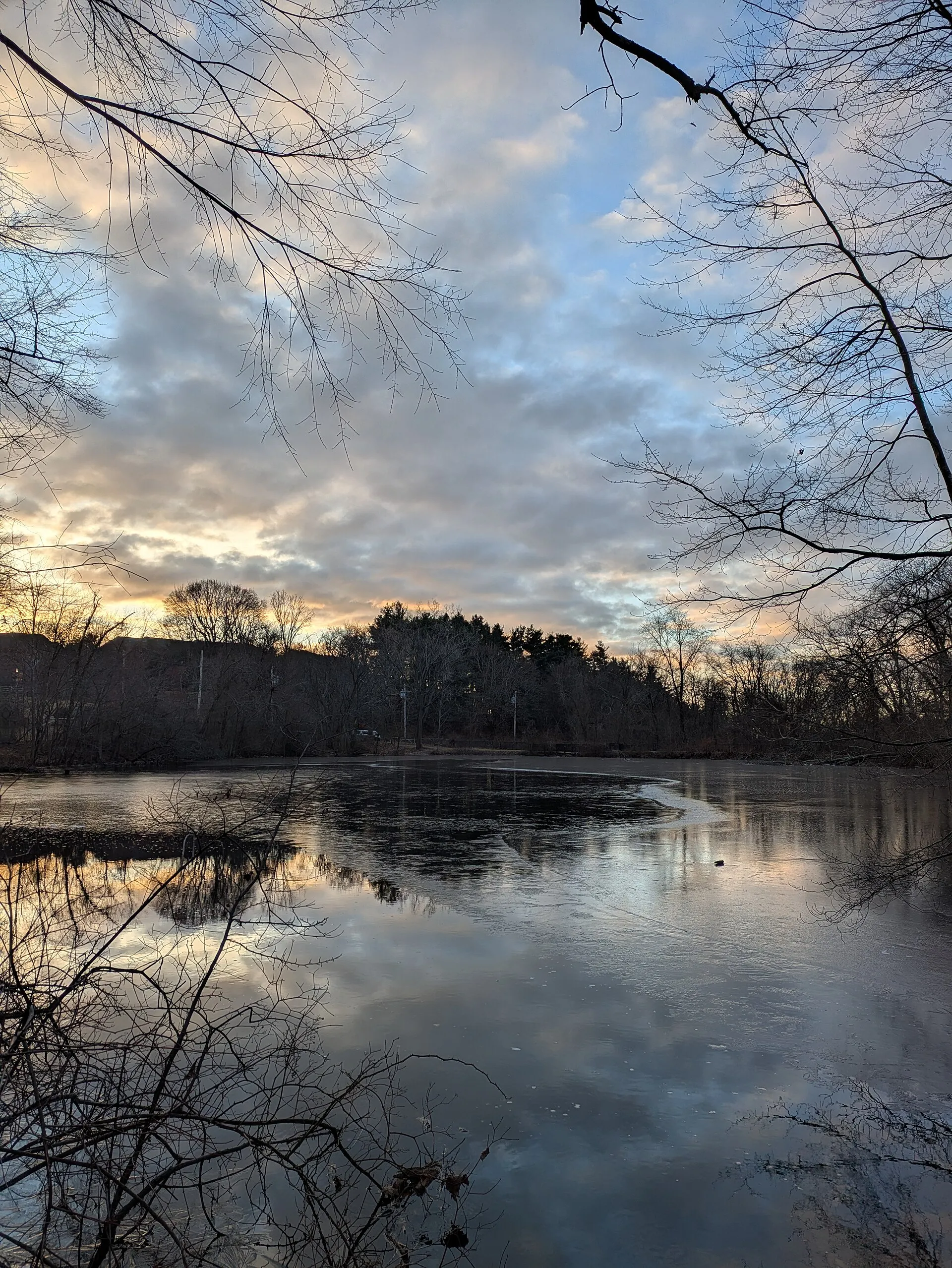 Mill Pond at the Beaver Brook Reservation in Belmont, MA
