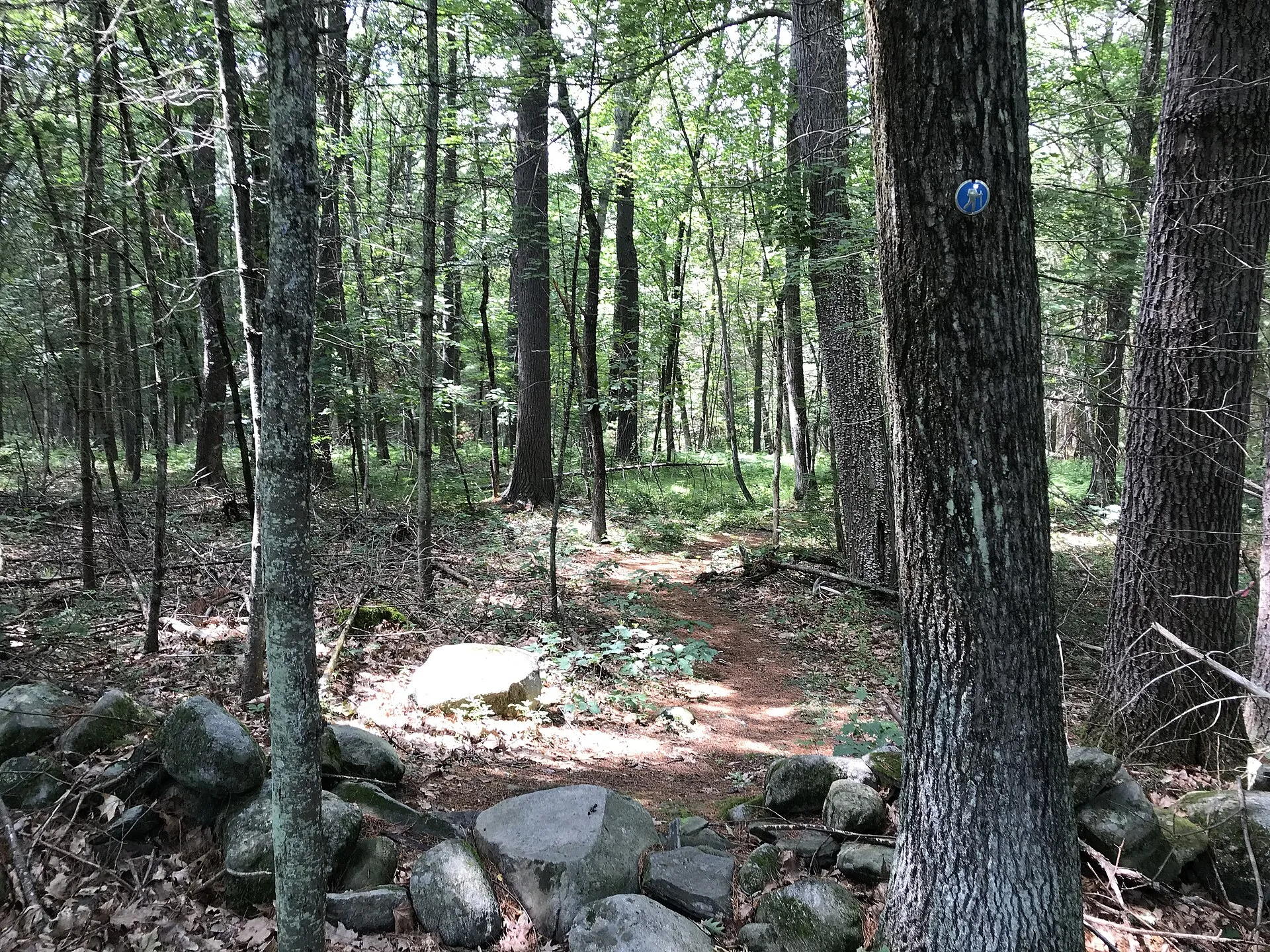 Trail C14, Carlisle Massachusetts