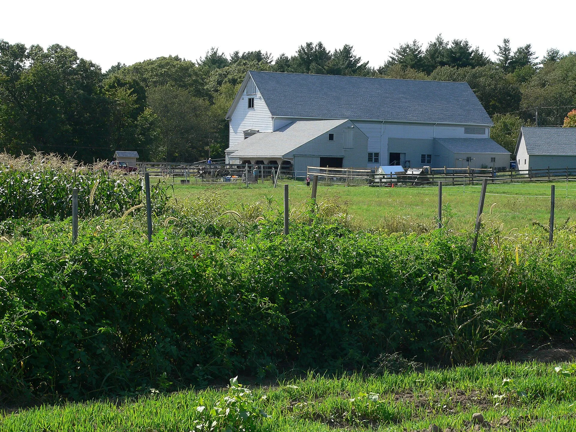 Powisset Farm, in Dover, Massachusetts, owned by The Trustees of Reservations