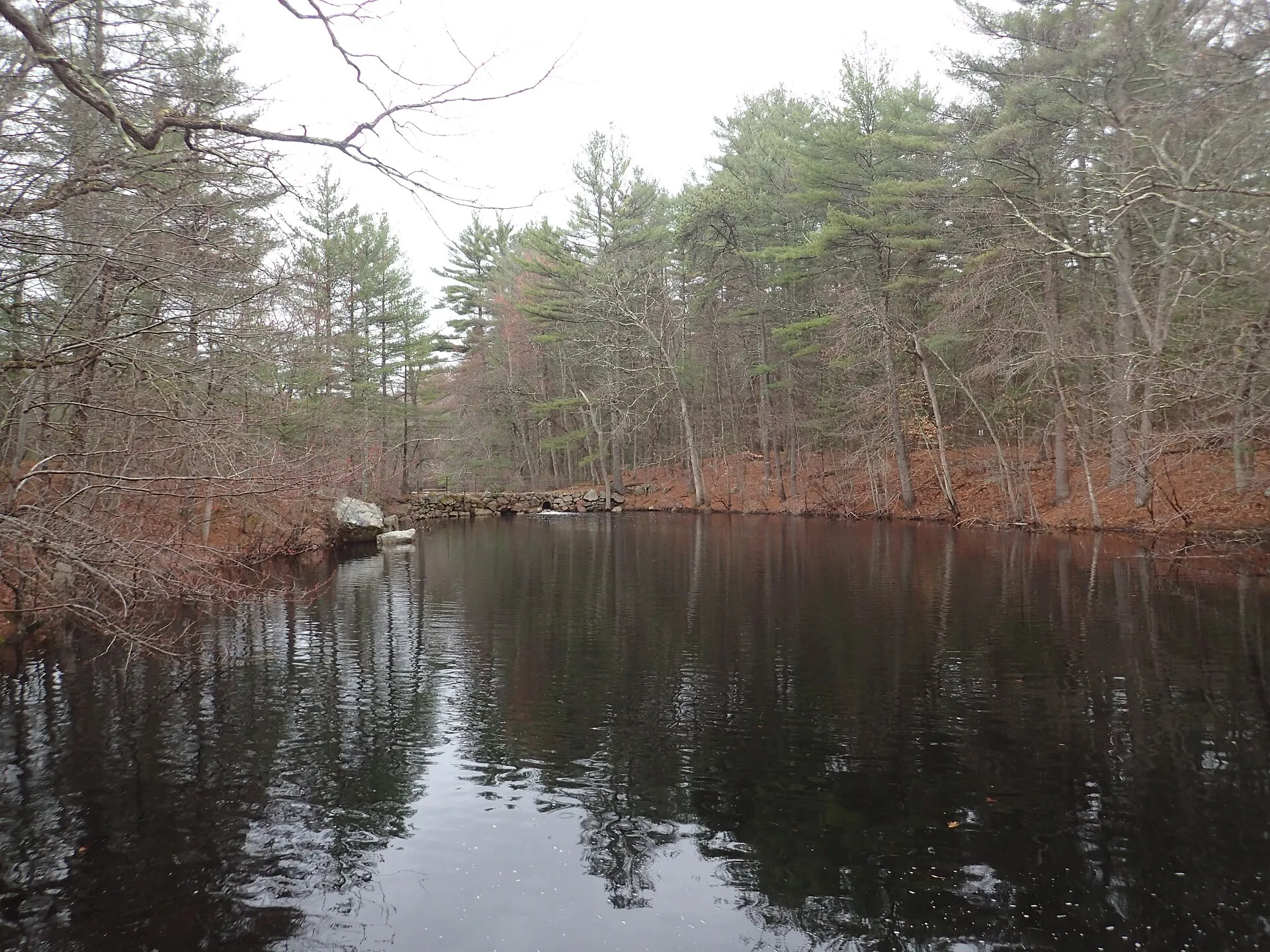 Upper Mill Pond in the Noanet Woodlands