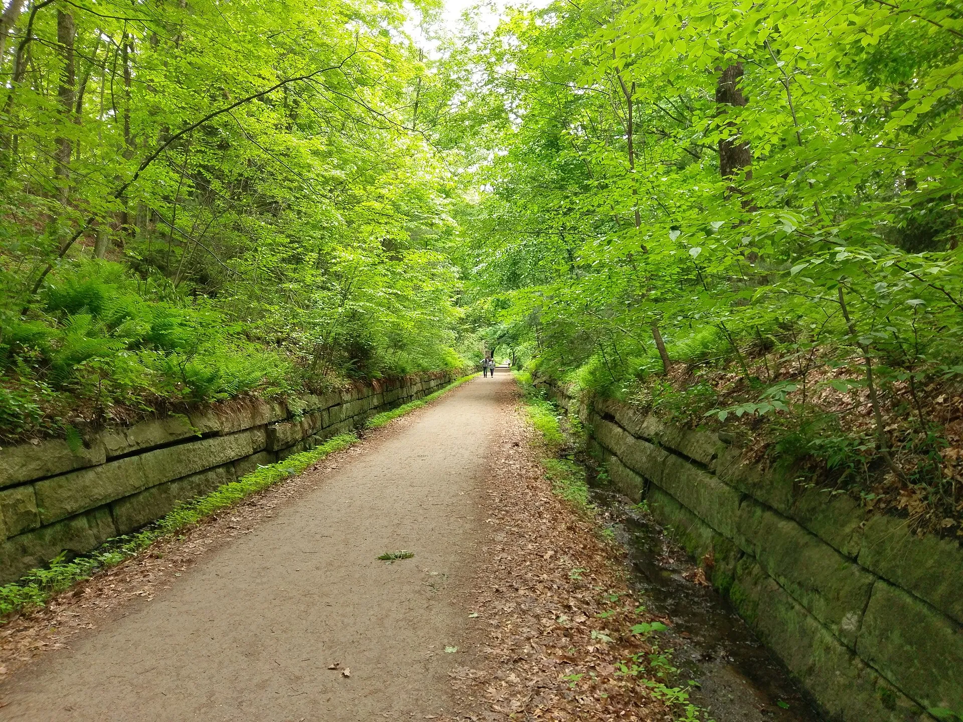 A section of the Upper Charles Rail Trail in Holliston, MA