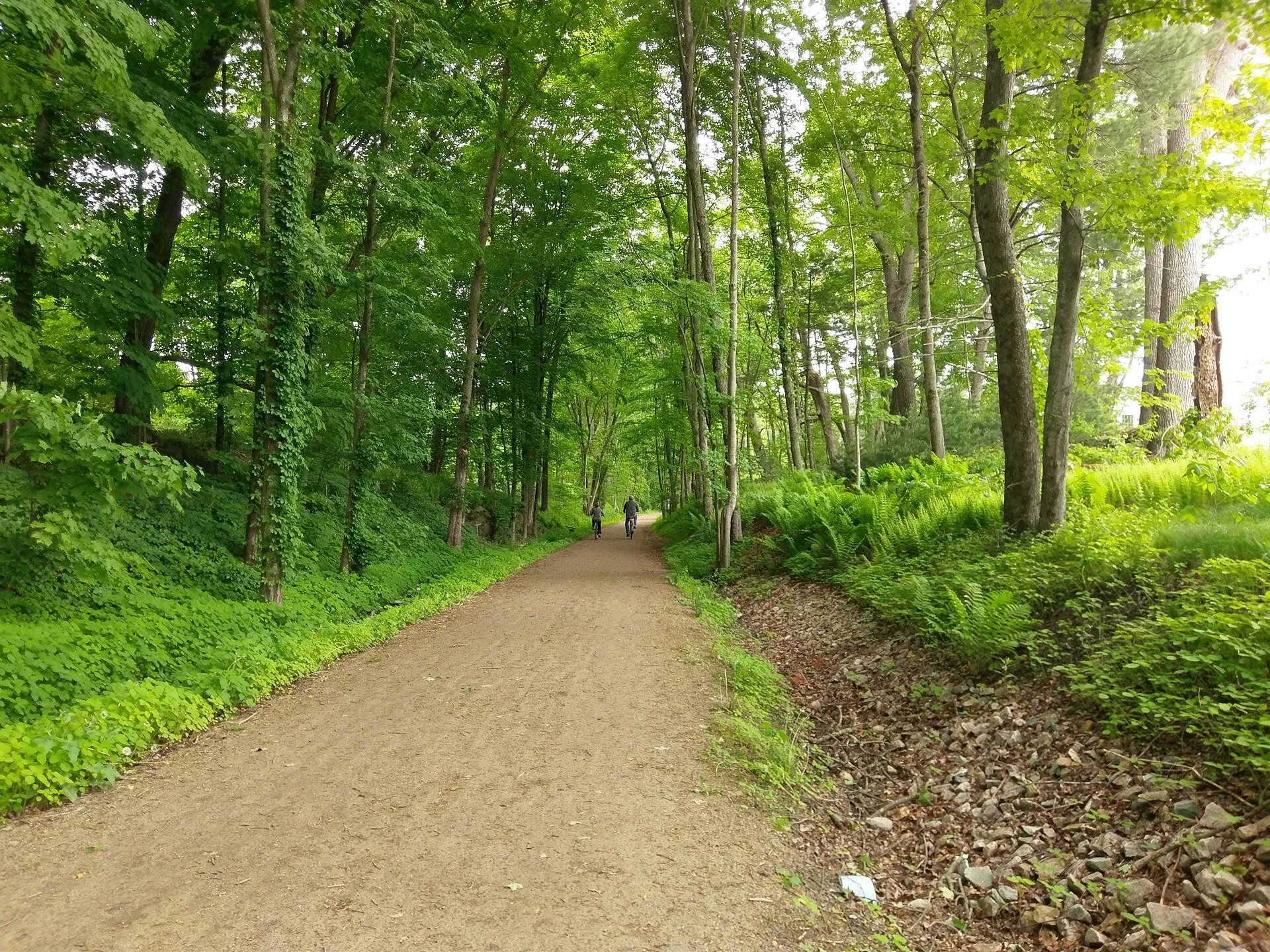 A section of the Upper Charles Rail Trail in Holliston, MA