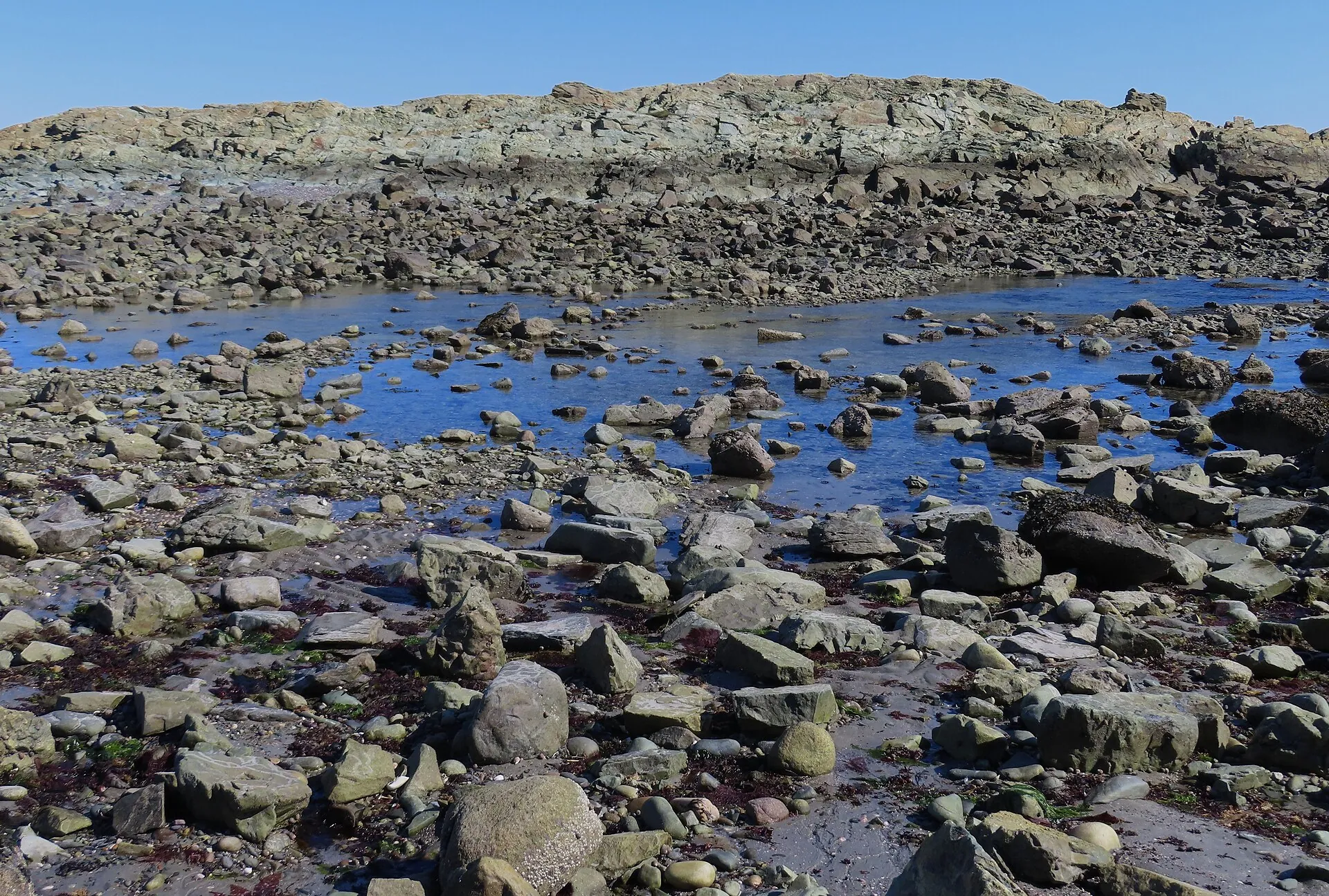 Tide pools at Nantasket Beach, Hull.