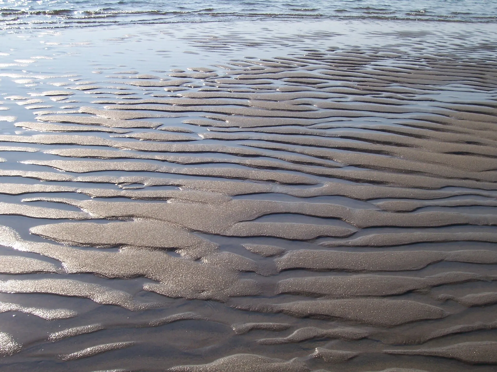 Crane Beach Ipswich Massachusetts Low Tide