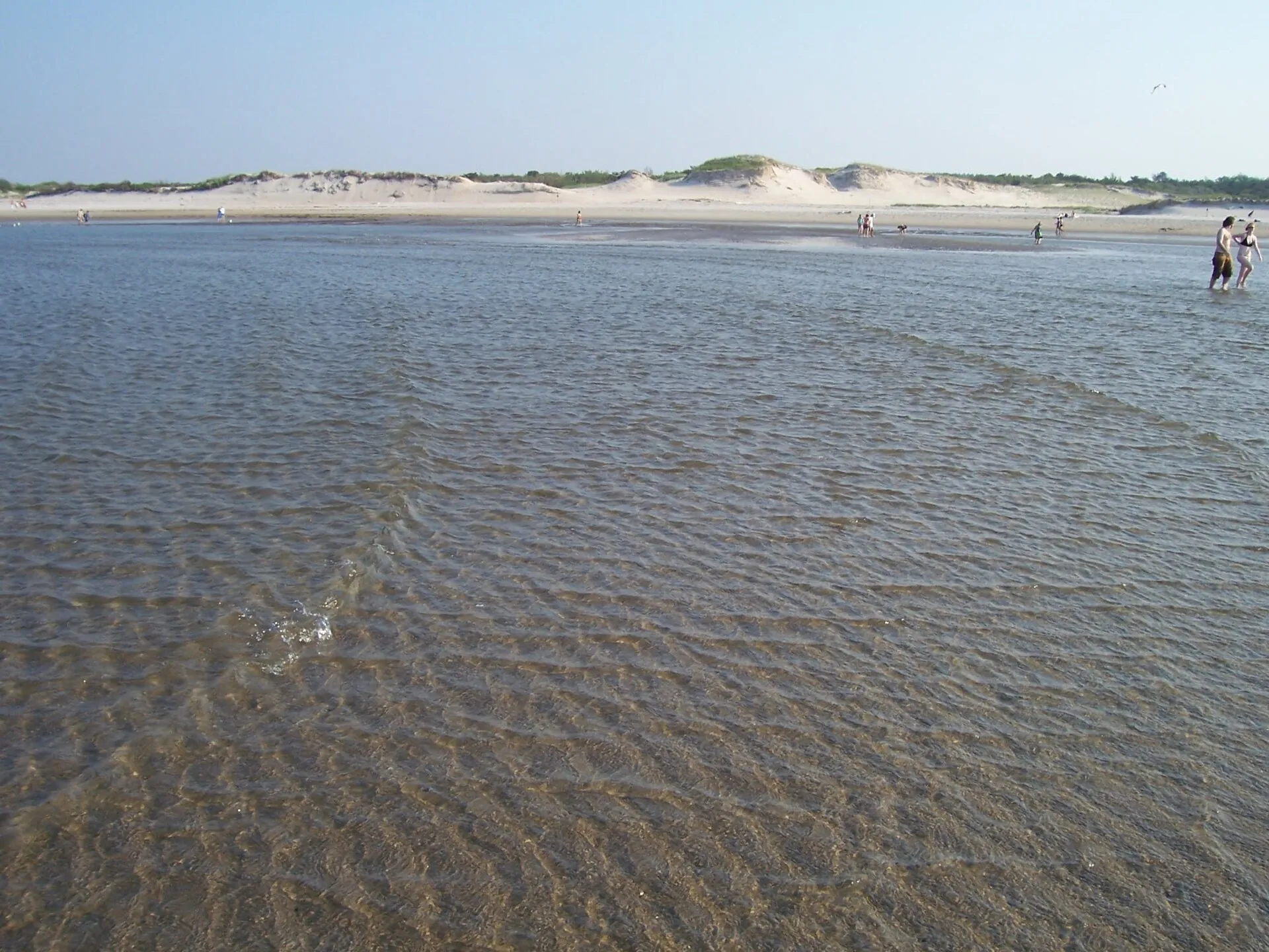 Dunes Crane Beach Ipswich Massachusetts Low Tide