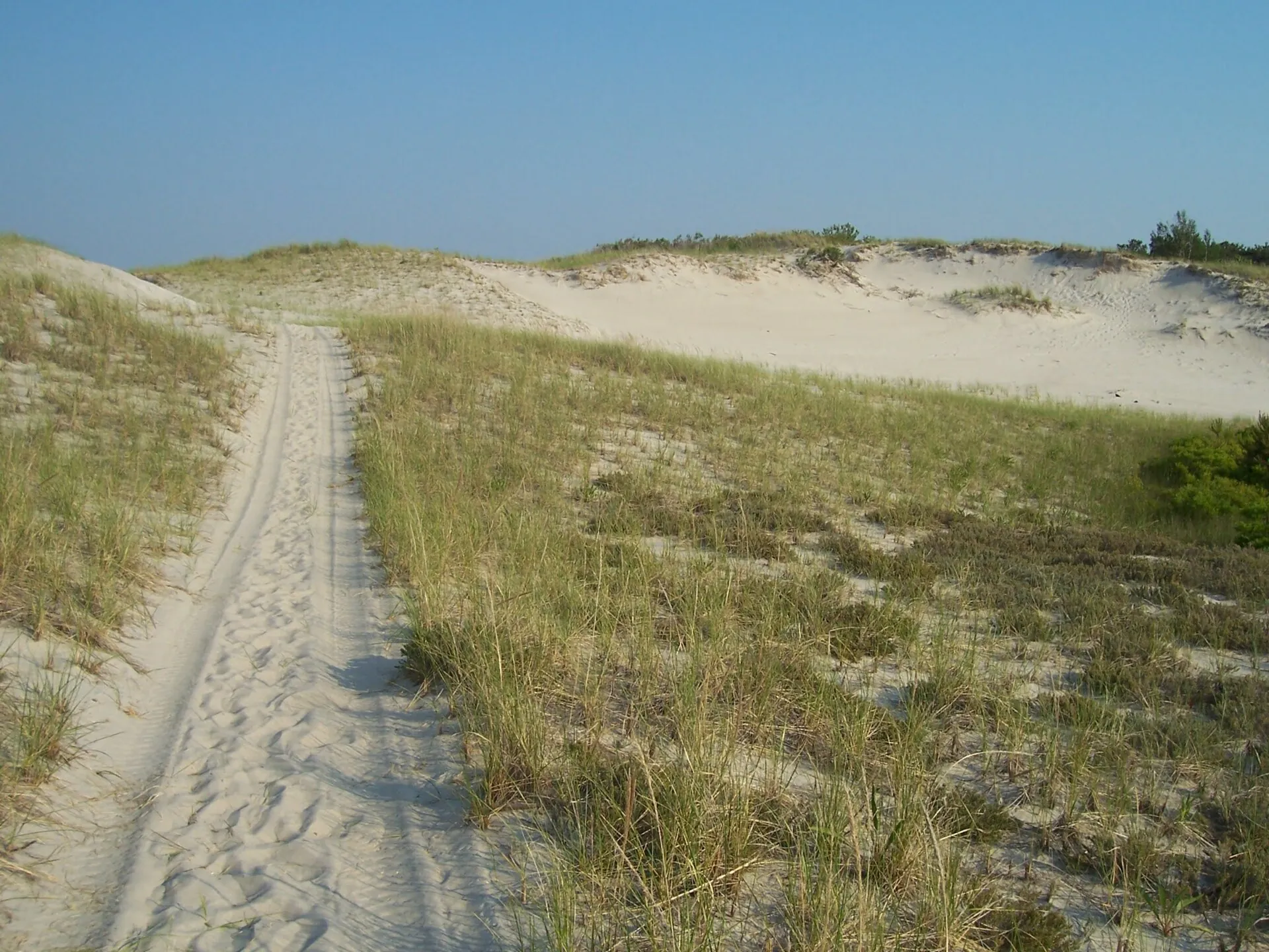 White Sand Coastal Dunes Crane Beach Ipswich Massachusetts
