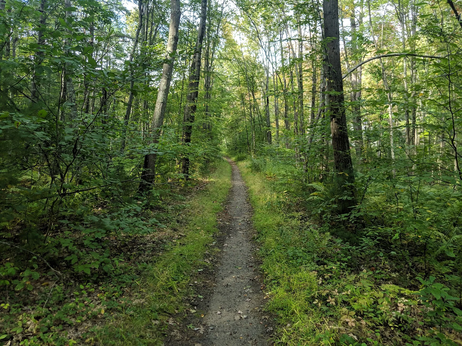 Jay McLaren Memorial Trail, Merrimac Massachusetts
