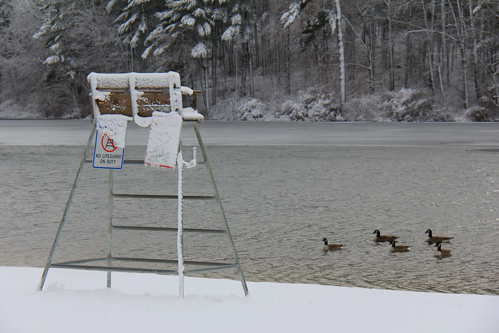 Houghton's Pond at Blue Hills Reservation in Milton, Massachusetts following a December snowstorm.