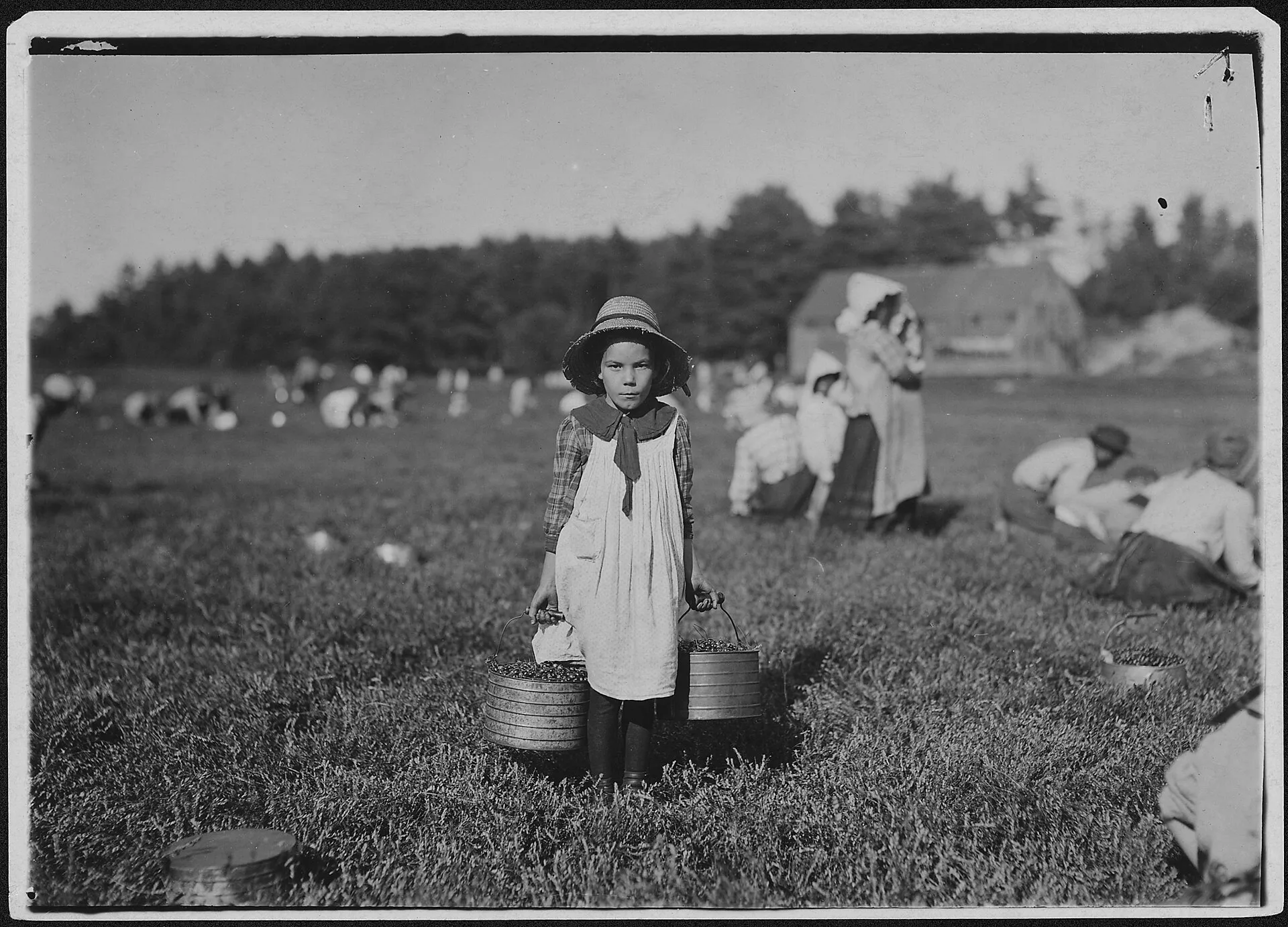 "Merilda, carrying cranberries" — a historic harvest photo from Rochester, Mass., by Lewis Hine.