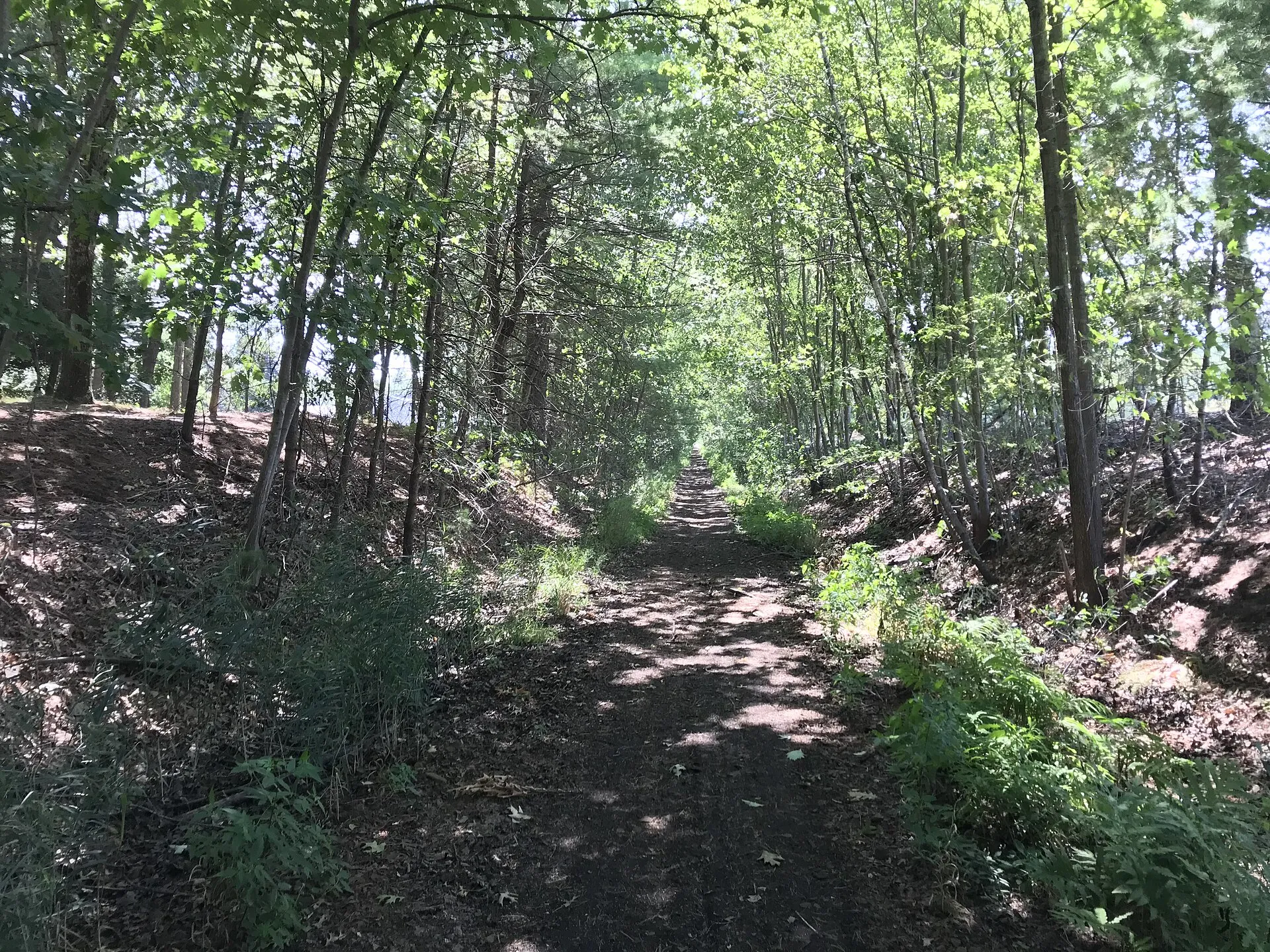 Upper Charles Rail Trail, Sherborn Massachusetts.