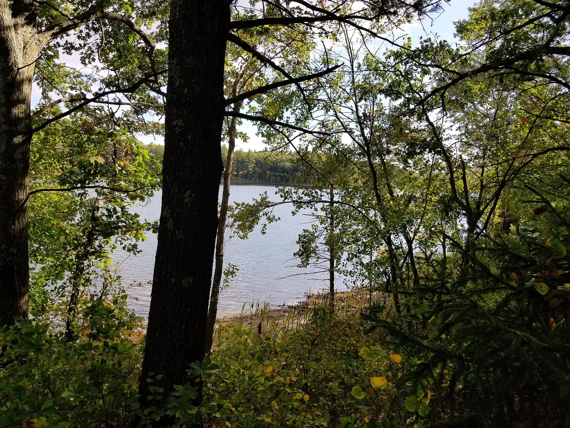 White's Pond in Stow Massachusetts.